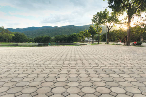 Best Driveway Pavers Near Me  in Brightwood, VA